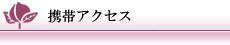 �g�уA�N�Z�X