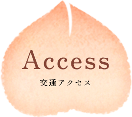 Access