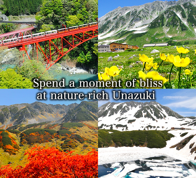 Spend a moment of bliss at nature-rich Unazuki