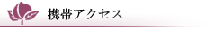 �g�уA�N�Z�X