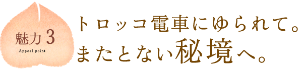 魅力3：トロッコ電車にゆられて。またとない秘境へ。