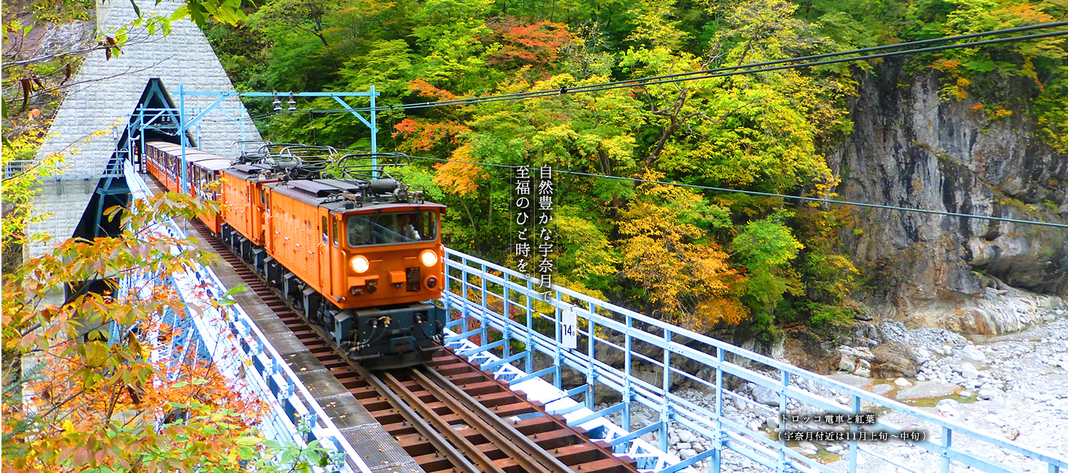 室堂から見た紅葉の立山