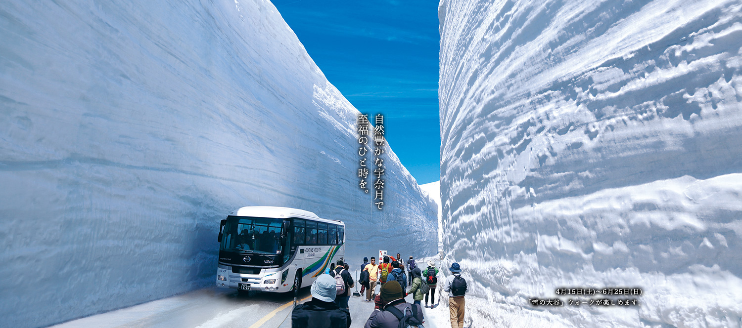 「雪の大谷」ウォークが楽しめます。