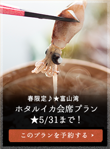 春限定♪★富山湾 ホタルイカ会席プラン ★5/31まで！ 大人１名　13,200円（税込）