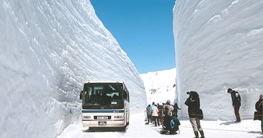 雪の大谷