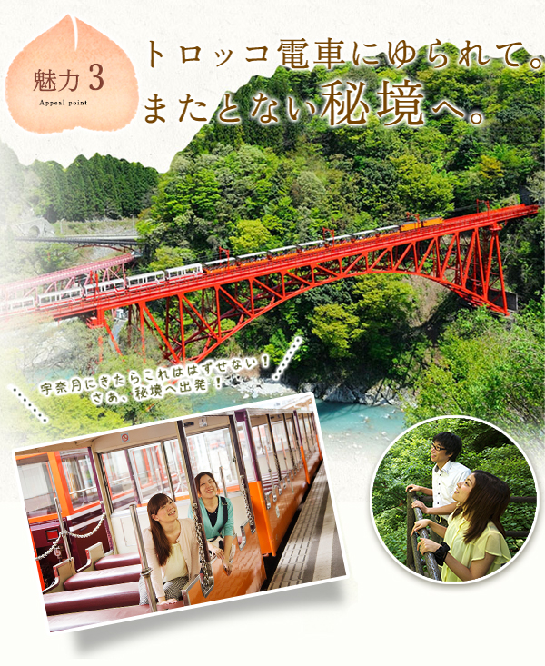 魅力3トロッコ電車にゆられて。またとない秘境へ。