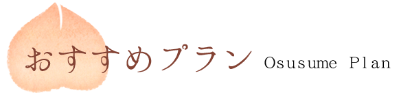 おすすめプラン